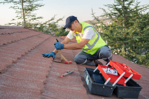 Best Roof Gutter Cleaning  in Daleville, VA