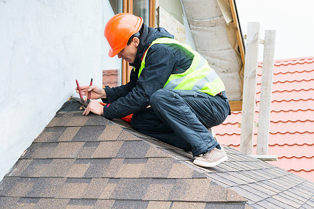 Best Roof Gutter Cleaning  in Daleville, VA