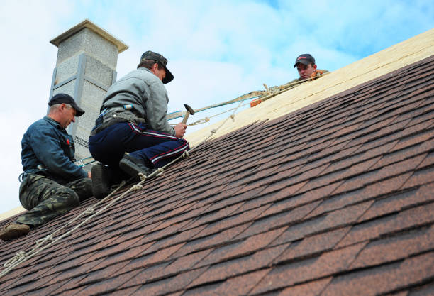 Reliable Daleville, VA Roofing Contractor Solutions